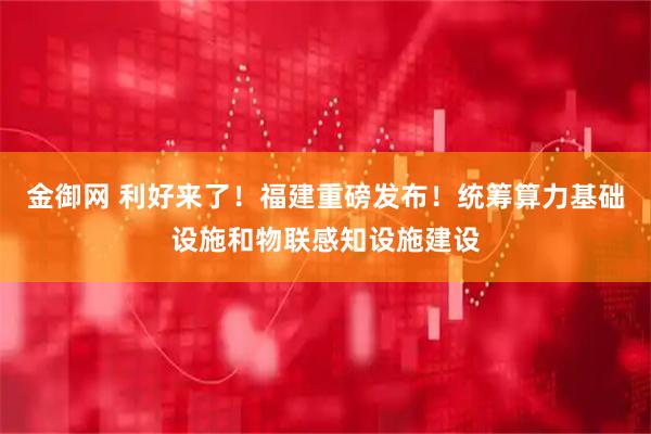 金御网 利好来了！福建重磅发布！统筹算力基础设施和物联感知设施建设