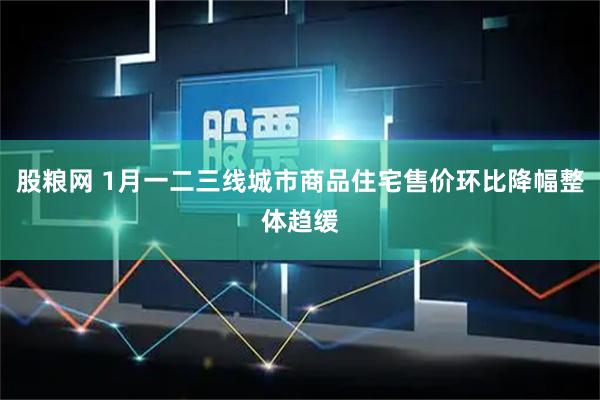 股粮网 1月一二三线城市商品住宅售价环比降幅整体趋缓