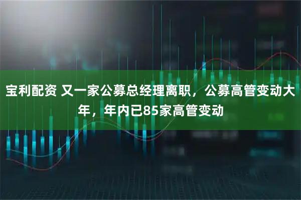 宝利配资 又一家公募总经理离职，公募高管变动大年，年内已85家高管变动