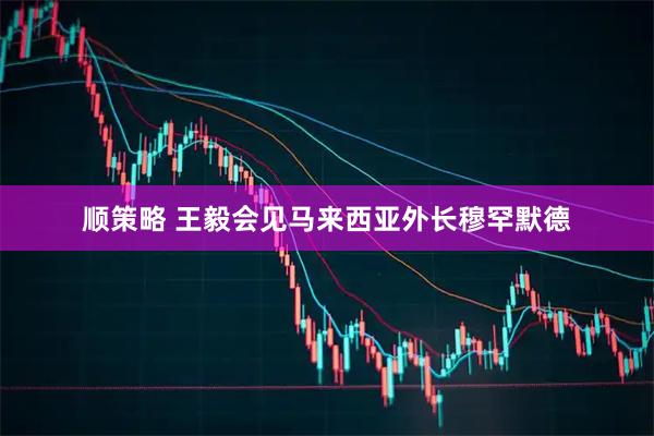 顺策略 王毅会见马来西亚外长穆罕默德