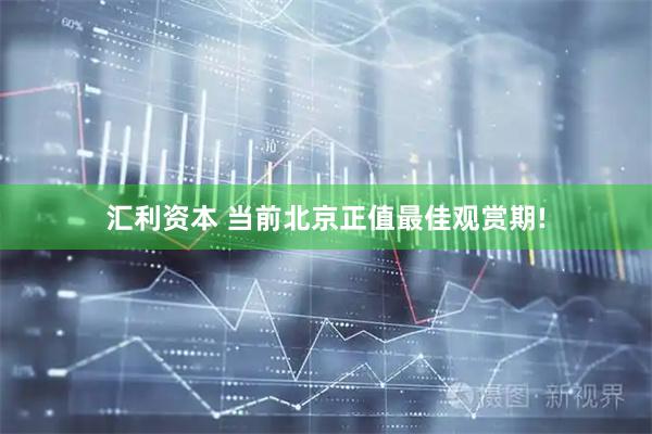 汇利资本 当前北京正值最佳观赏期!