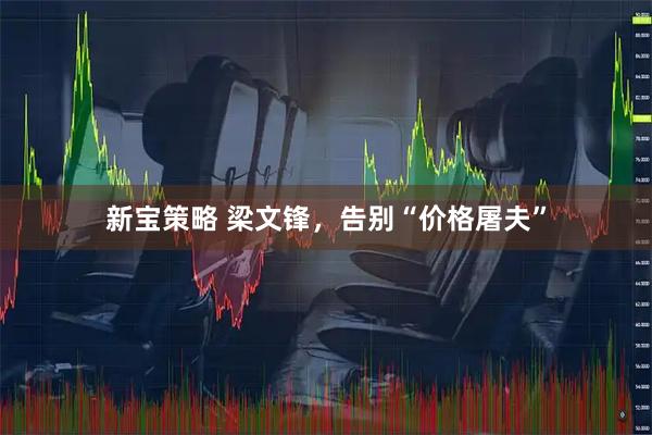 新宝策略 梁文锋，告别“价格屠夫”